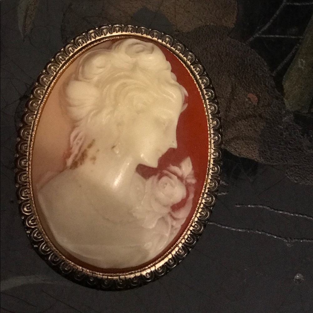 Vintage Cameo Brooch and Pendant
Unique and Rare Find